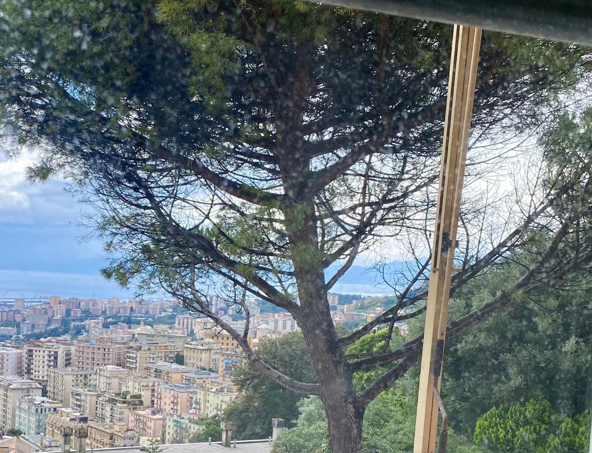 Genoa View & Hiking In Italian Riviera Apartment Exterior photo